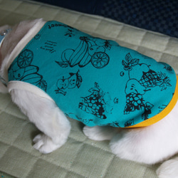 犬服～南国フルーツ☆パッションな香り！ 2枚目の画像