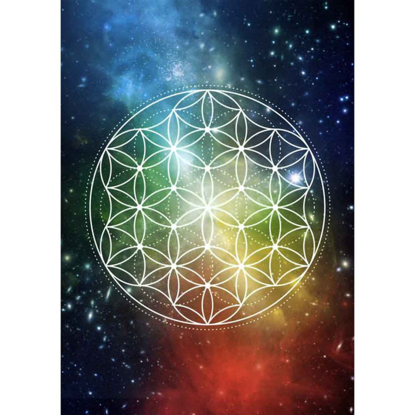 【額縁付】フラワー・オブ・ライフ☆ A4ポスター（ミックスカラー）神聖幾何学　 1枚目の画像