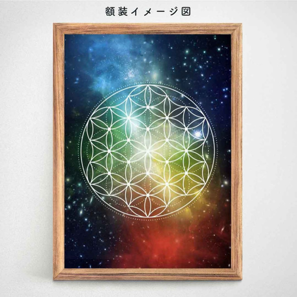 【額縁付】フラワー・オブ・ライフ☆ A4ポスター（ミックスカラー）神聖幾何学　 2枚目の画像