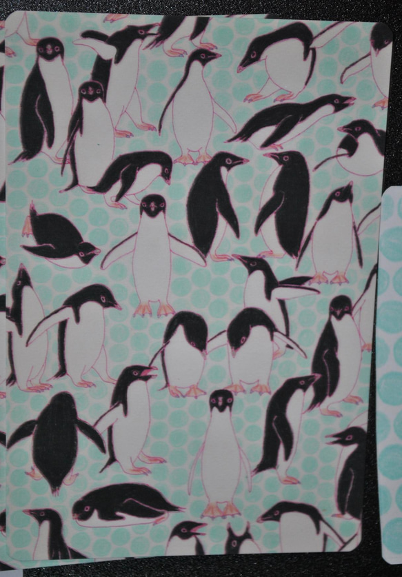 アデリーペンギン　カードセット 2枚目の画像