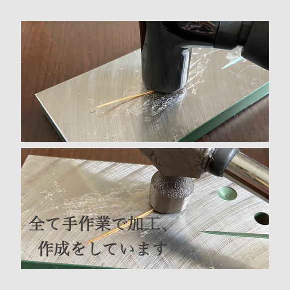  第6張的照片