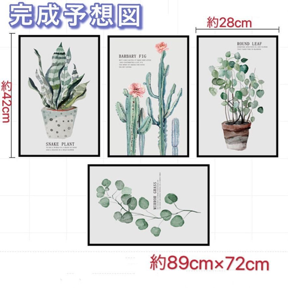  第6張的照片