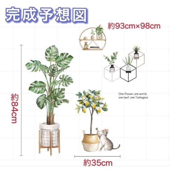  第6張的照片