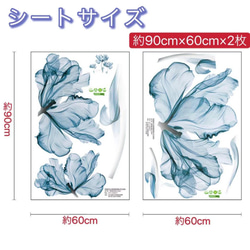  第8張的照片