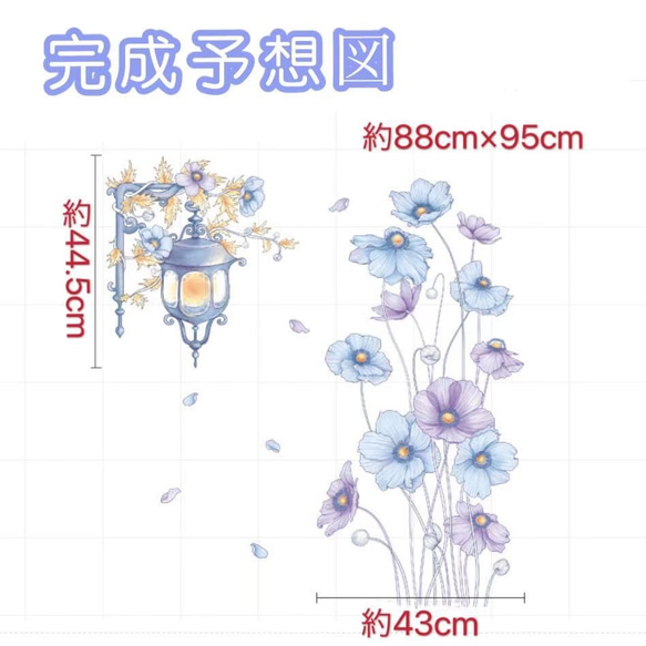  第6張的照片