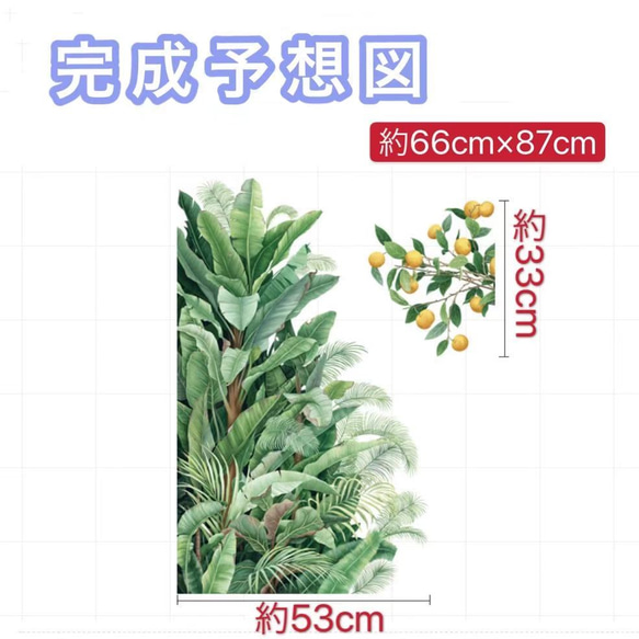  第6張的照片