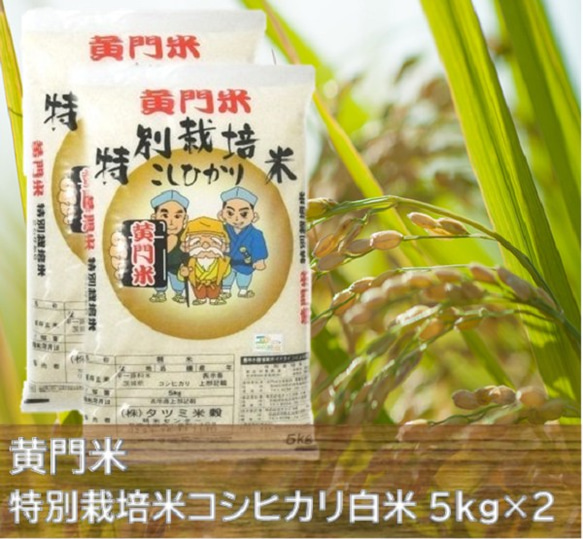 【 黄門米 特別栽培米 】こしひかり白米 5kg×2袋 1枚目の画像