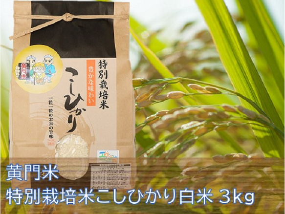 【 黄門米 特別栽培米 】こしひかり白米 3kg 1枚目の画像