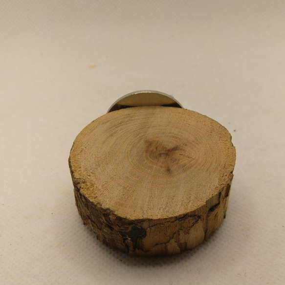 小さめの切り株の止まり木（TOY-08-035) 4枚目の画像