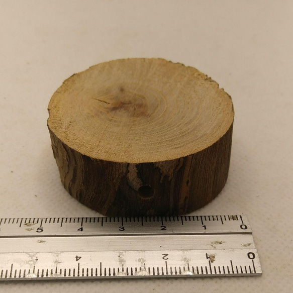 小さめの切り株の止まり木（TOY-08-035) 7枚目の画像