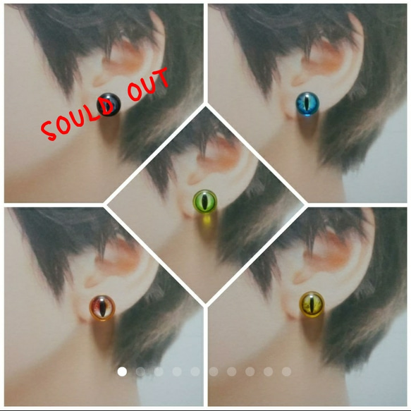 爬虫類アイ（有鱗目）の個性的ピアス No.113 ピアス（スタッド・一粒  