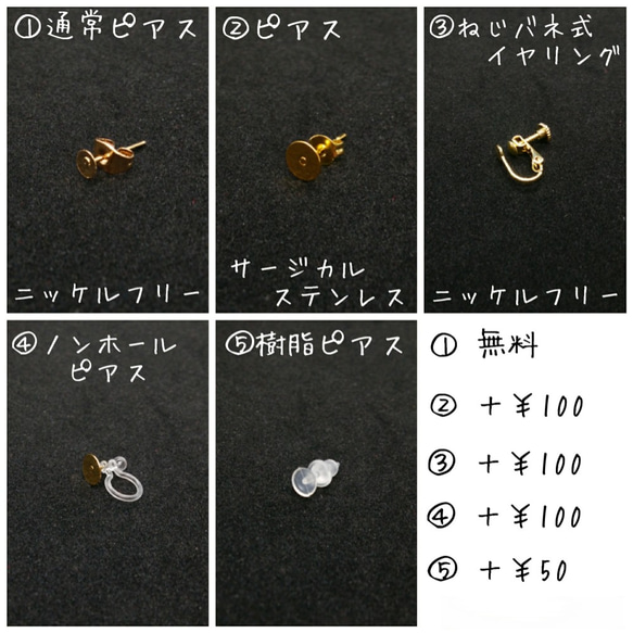 爬虫類アイ（有鱗目）の個性的ピアス　No.113 8枚目の画像