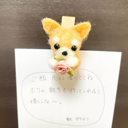 柴犬　ピンチ型マグネット 1枚目の画像