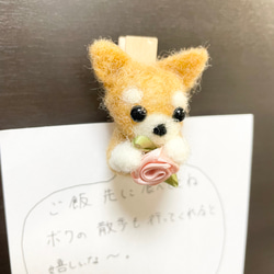 柴犬　ピンチ型マグネット 3枚目の画像