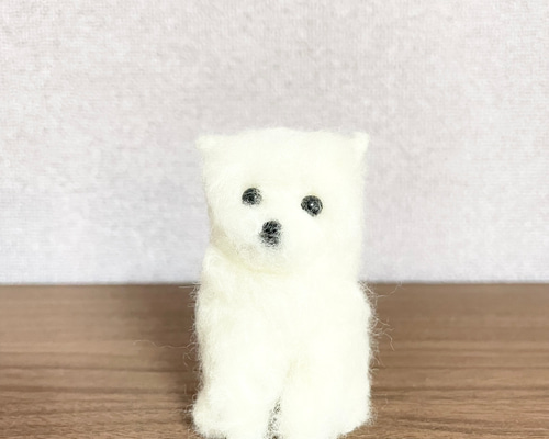 日本スピッツ 羊毛フェルト 羊毛フェルト モカ＆ラテ 通販 12820419