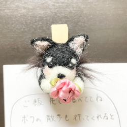 黒チワワ　ピンチ型マグネット 1枚目の画像