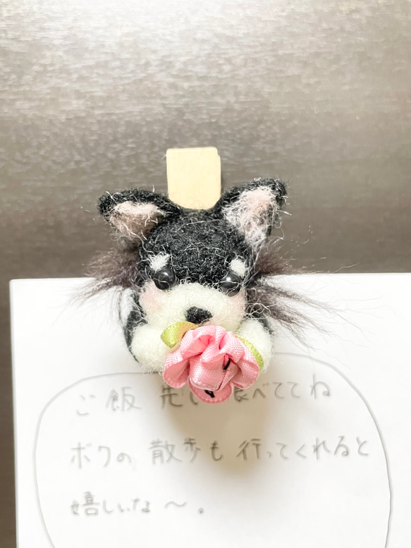 黒チワワ　ピンチ型マグネット 1枚目の画像