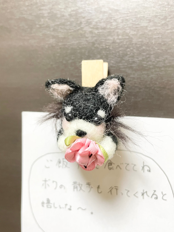 黒チワワ　ピンチ型マグネット 2枚目の画像