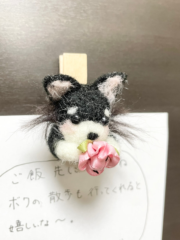 黒チワワ　ピンチ型マグネット 3枚目の画像