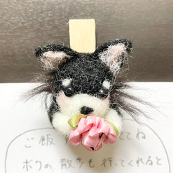 黒チワワ　ピンチ型マグネット 4枚目の画像