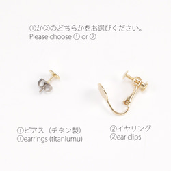 Ombre耳環和耳環配珠子刺繡（可選擇金屬配件）3 第5張的照片
