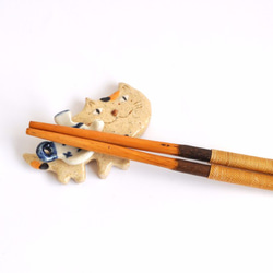 筷子休息初夏的富貴貓的版本 第6張的照片