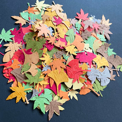 〈送料無料〉秋の色　紅葉と銀杏　160枚セット 4枚目の画像