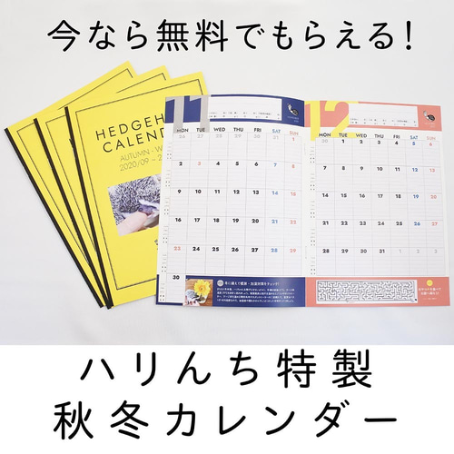 ハリネズミ文具5点セット ノート ハリんち 通販 10210862｜Creema