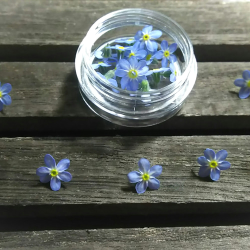 レジンヘアゴム 　勿忘草　ブルー　ホワイト　夏　花 レジンヘアゴム 勿忘草ブルーホワイト夏花