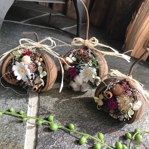 ブッダナッツアレンジ プリザーブドフラワー 🕯Yuragi 通販 10519355