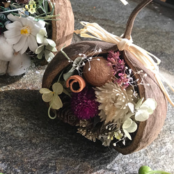 幸福を呼ぶ実 ミニブッダナッツアレンジ その他インテリア雑貨