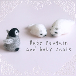 Baby penguin and Baby seals 1枚目の画像