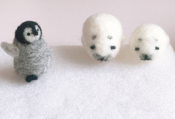 Baby penguin and Baby seals 2枚目の画像