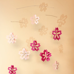 1_511b670ae8c2bdea33d8c0e63bcc