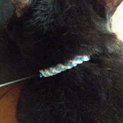 猫の首輪　スエード紐　ブルー×ホワイト 7枚目の画像