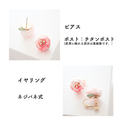 桜のピアス/イヤリング 6枚目の画像