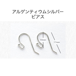 20mm＊グリーンアメジスト＊サージカルステンレス▪︎14kgf▪︎アルゲンティウムシルバー▪︎イヤリング▪︎ピアス 5枚目の画像