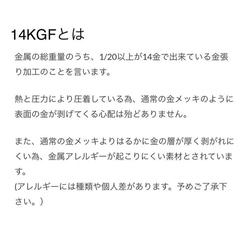 ＊ハーキマーダイヤモンドチャーム＊14kgf▪︎silver925▪︎オプションネックレス▪︎オーダーメイド 3枚目の画像