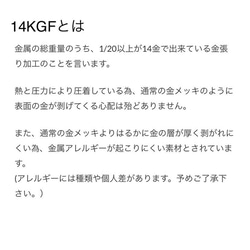 ＊オパールチャーム＊silver925▪︎14kgf▪︎オプションイヤリング▪︎イヤーカフ▪︎オーダーメイド 5枚目の画像