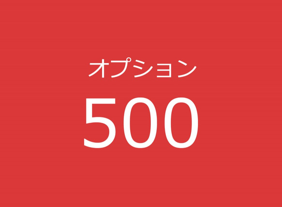 オプション500 1枚目の画像