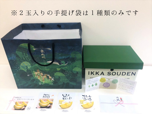 IKKA SOUDENマスクメロン「2玉入り」 3枚目の画像