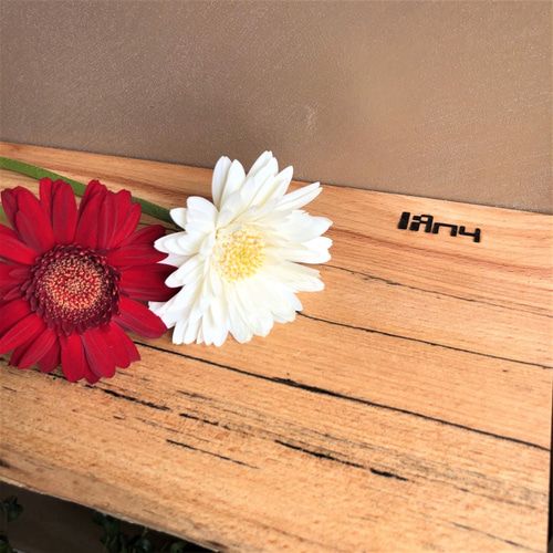 耳(樹皮)付き飾り棚 ウォールシェルフ（飾り棚） shelf（Spalted） インロー式棚