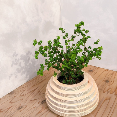 ヴィンテージ ウッドプランター／フラワーベース 木製鉢カバー