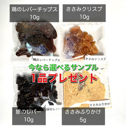 【今だけサンプルプレゼントCP】鹿児島県産 豚のレバー 犬のおやつ 無添加 無着色手作りジャーキー 60g 4枚目の画像