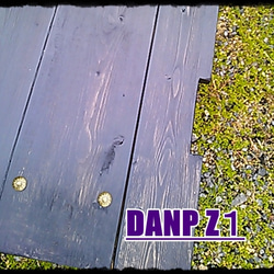 DANP　Z1 4枚目の画像