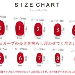 サンプルチップ 3枚目の画像