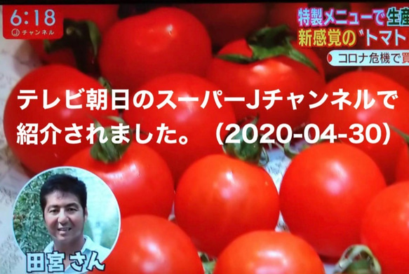 コクトマ！ こくがあって味濃いめ 八ヶ岳産ミニトマト 箱込約3.1kg お子様も生でパクパク！ 減農薬栽培 3枚目の画像