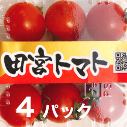 （お試し価格30%OFF）コクトマ！ こくがあって味濃いめ 八ヶ岳産ミニトマト 4パック  　減農薬栽培 1枚目の画像