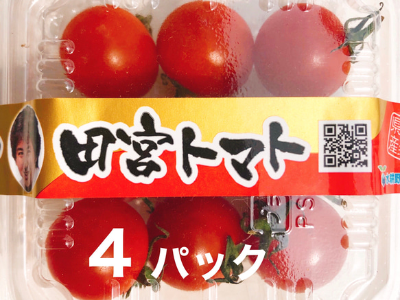 （お試し価格30%OFF）コクトマ！ こくがあって味濃いめ 八ヶ岳産ミニトマト 4パック  　減農薬栽培 1枚目の画像