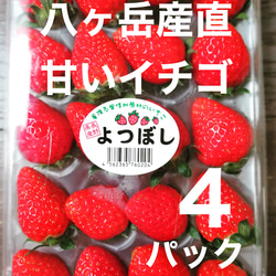 予約販売：2021年12月販売開始】八ヶ岳産 高級いちご 4パック 食べ始め
